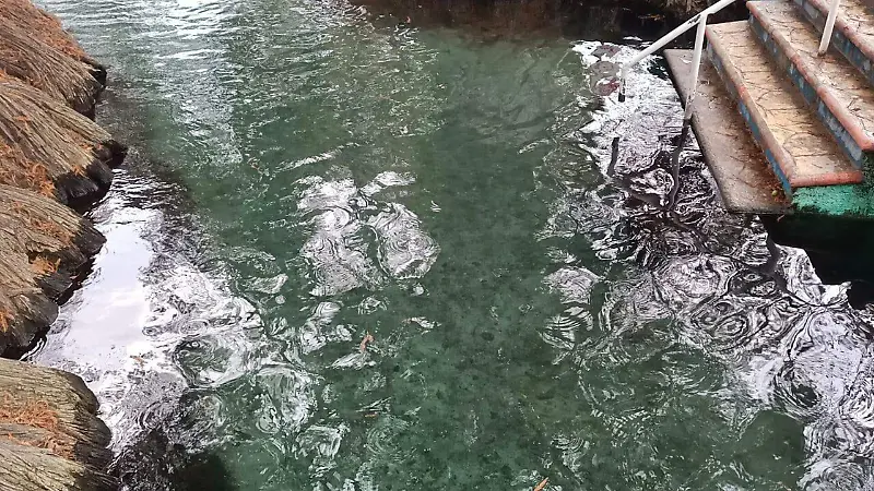 Ven a nadar al manantial de aguas cristalinas de Tarandacuao